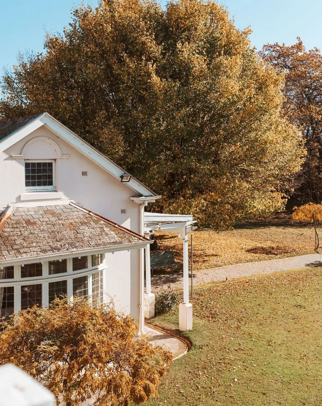 beltronicspro | Where to See Autumn Leaves in the Yarra Valley