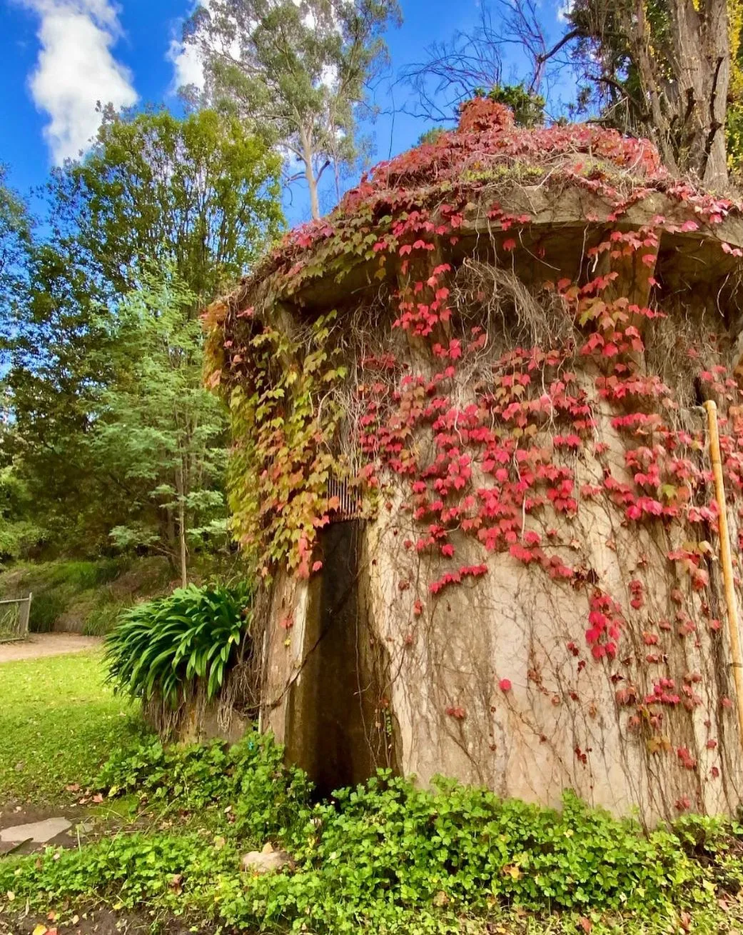 beltronicspro | Where to See Autumn Leaves in the Yarra Valley