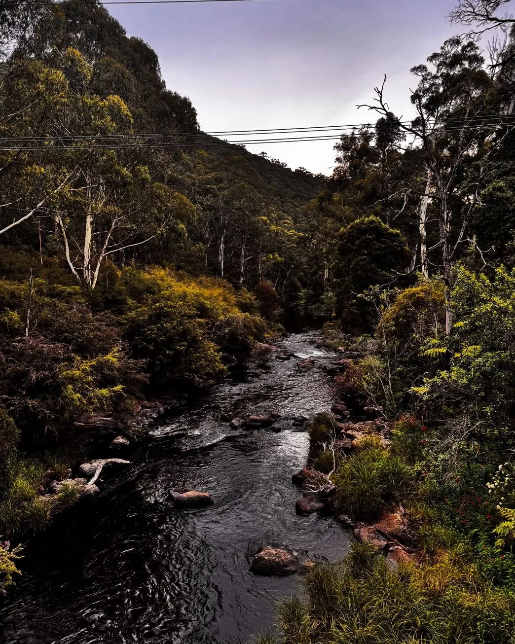 beltronicspro | Where to See Autumn Leaves in the Yarra Valley